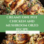 One Pot Chicken and Mushroom Orzo Recipe