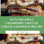Apple and Cranberry Grilled Cheese
