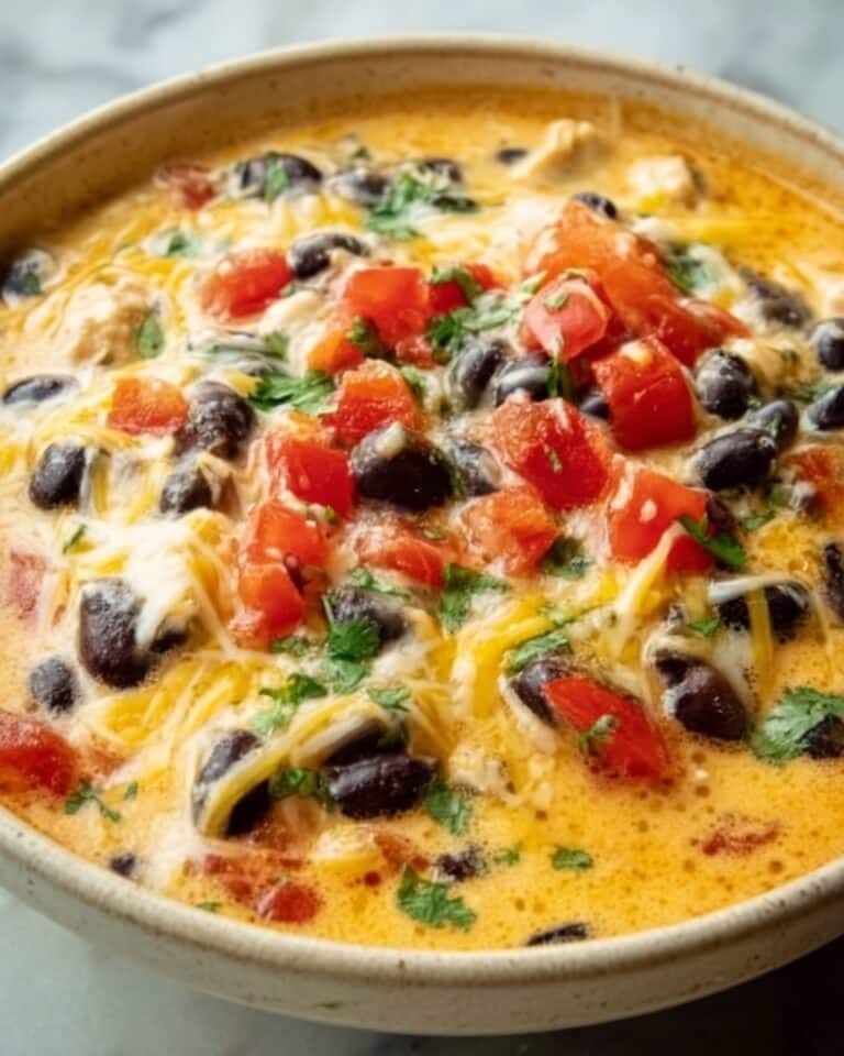 Chicken Enchilada Soup Recipe