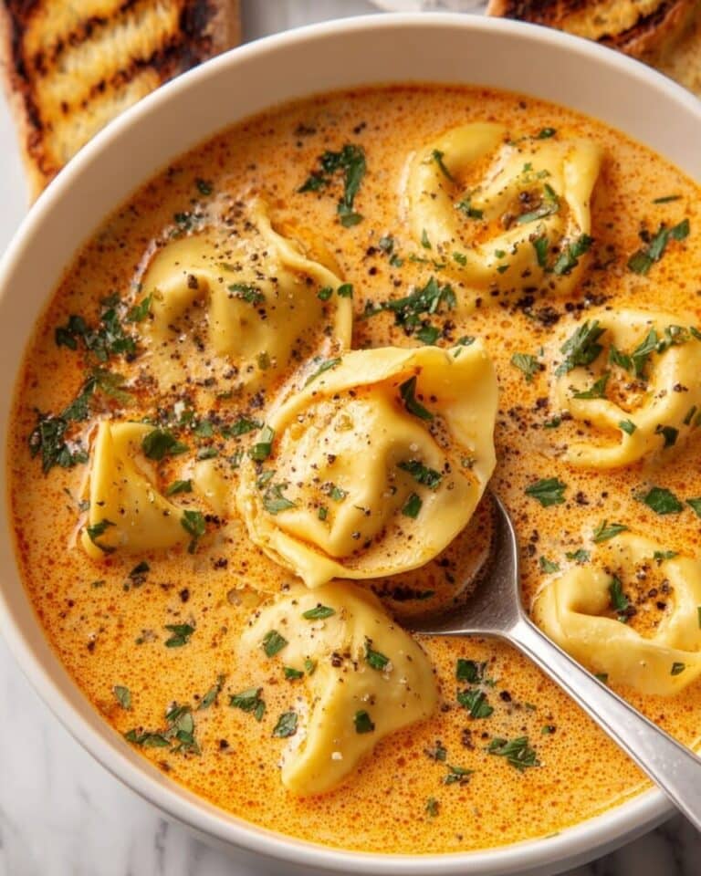Cheesy Tomato Tortellini Soup Recipe